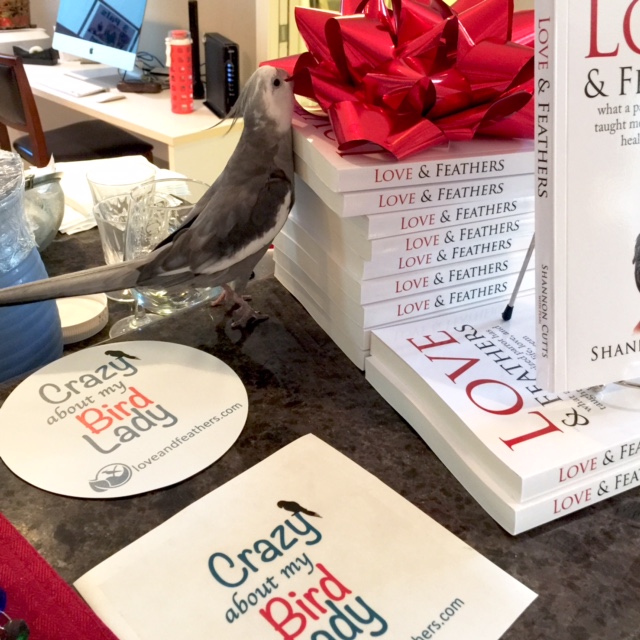 It sure is shiny....and quite crinkly too.