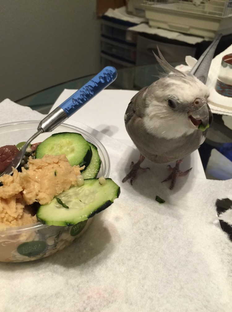 Boy my mom sure does love me - she is clearly very afraid of my ferociousness, but even so she can't bring herself to flee to safety!