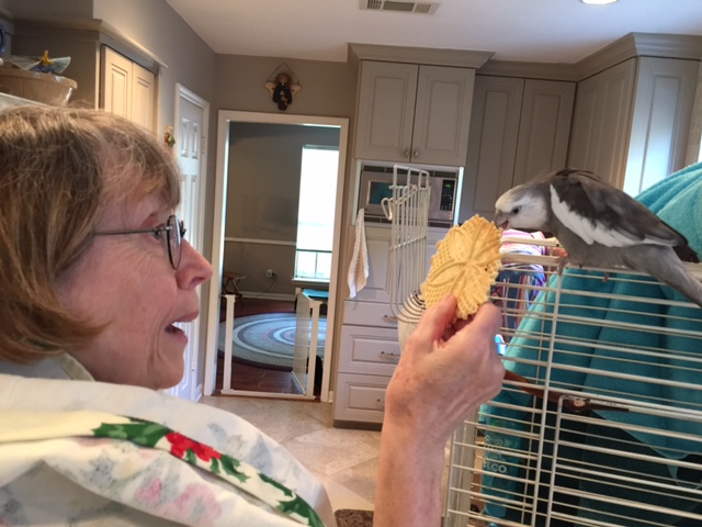 And "handfed," no less - I sure am glad I chose a flock which takes etiquette seriously.