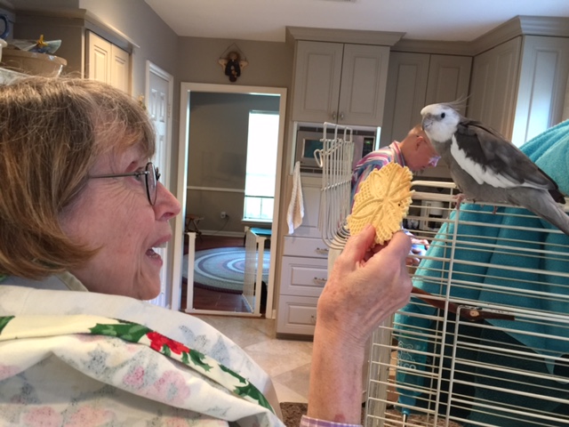 Oh hi Grandma - a new crispy delicacy? Well don't mind if I do!