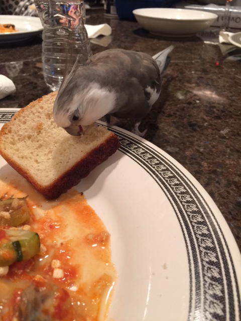 When your large featherless waitress always makes sure her dinner portion includes enough for two.