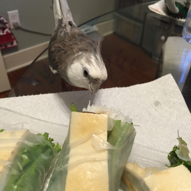 Oh my! You look delicious - I mean, do you need help?