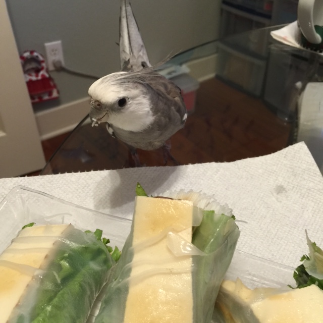 First I'll just take the lay of the land to be sure no threats are approaching.