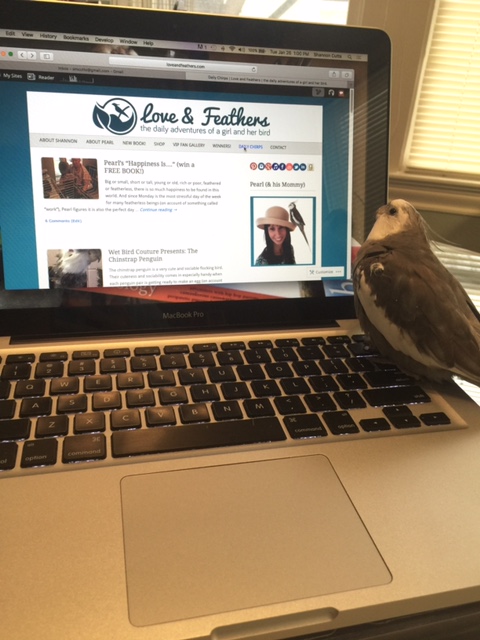 Pearl waiting (im)patiently for his large featherless assistant to get back to work already.