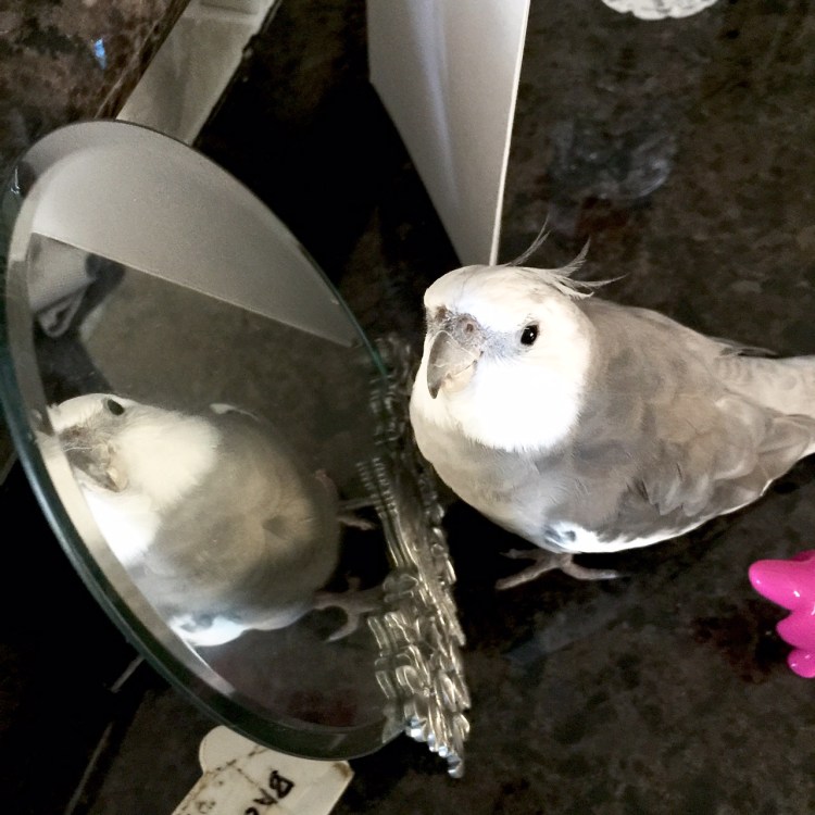 My mommy loves me so much - whenever I spot prettiness she always wants to admire it with me!