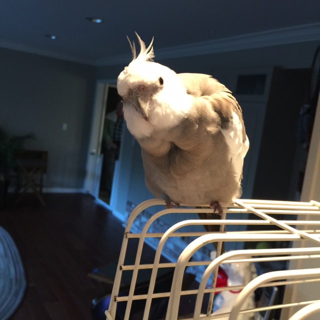 And you say this is a case only .007 could possibly solve?