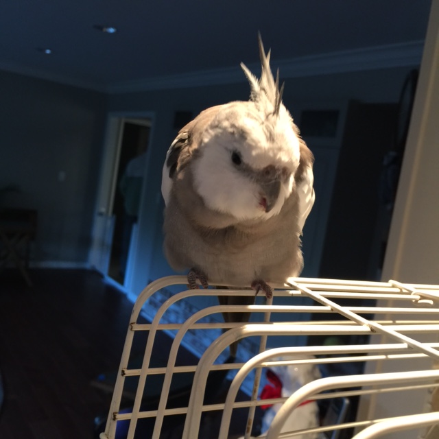 That is a very bad crime. I see why you came to me. 