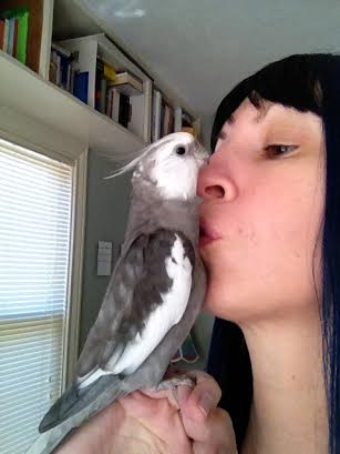 Pearl demonstrates how to properly motivate a large featherless assistant with "belly kisses."