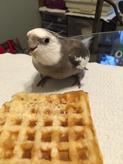 Step One: Claim the desired item while hissing and striking.