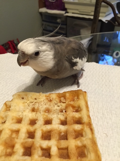 Step Two: Add in some glaring for extra emphasis.