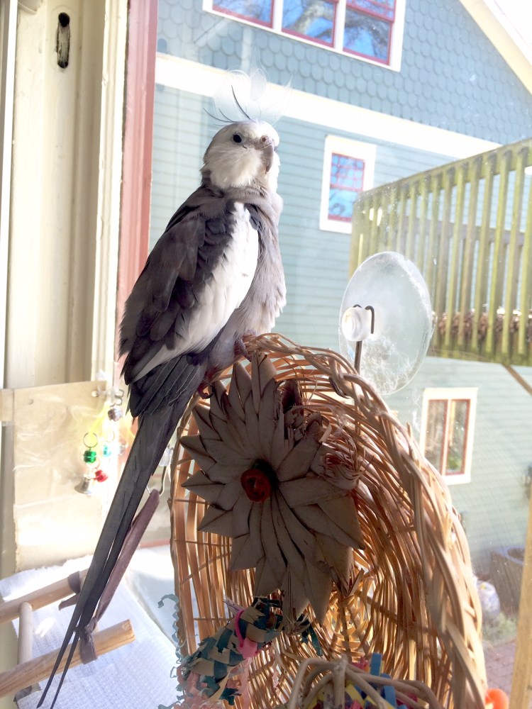 I can tell how much my mom loves me because every time I sound the security alarm she comes running.