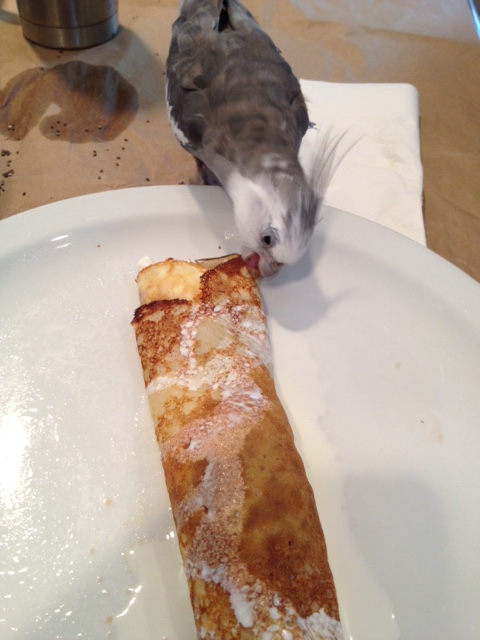 Pearl. Enjoying a delicious crepe prepared by the Small Chef.