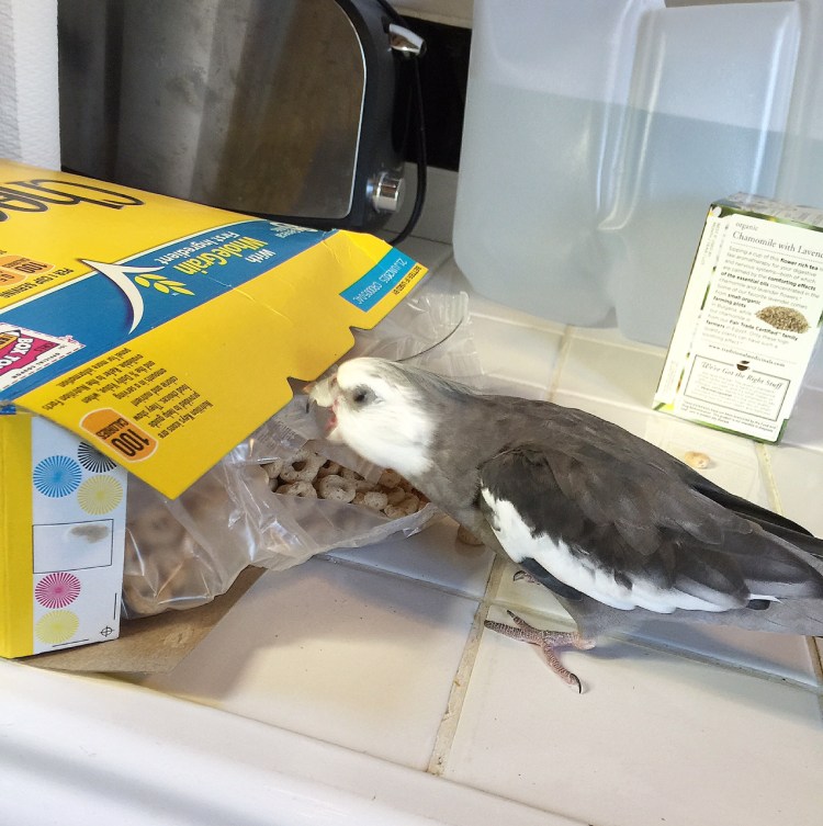 When you love somebody, you always make sure they get their breakfast first.