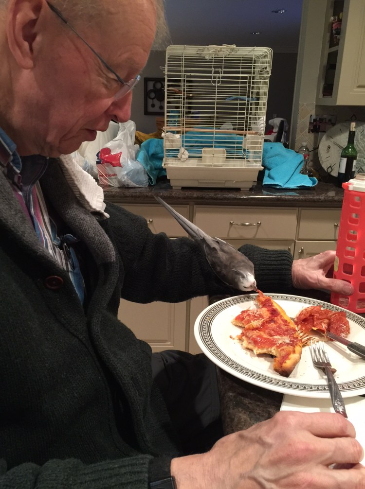 Happiness is....when your Grandpa, the Tall Tree, lets you sample the first delicious bite of his pizza dinner.