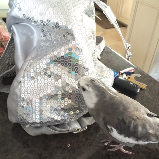 Well, you must belong to someone in my flock. I know everyone and everything so I'll get the truth out of you sooner or later.