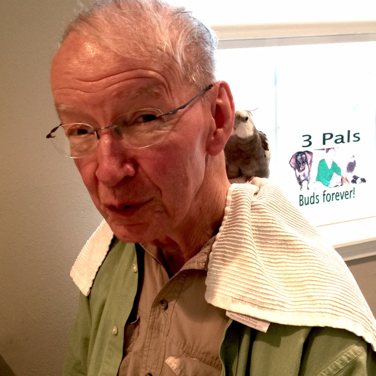 Happiness is.... when you want to reserve your favorite perch on the Tall Tree and you find out it has already been reserved in advance just for you!