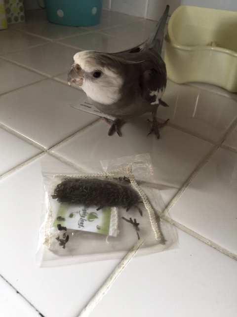 Um, Mom? Forgetting anything?