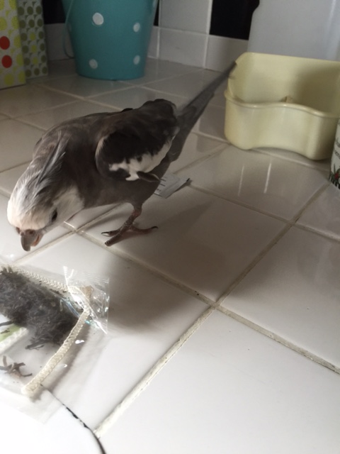 No? Well I'll tell you what is about to be missing!