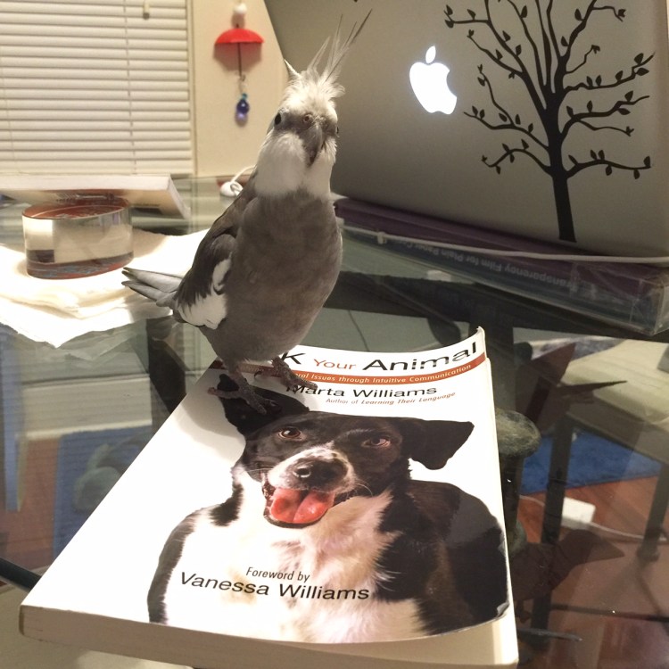 A literature lover (with feathers) poses with a topic he feels is particularly timely and important.