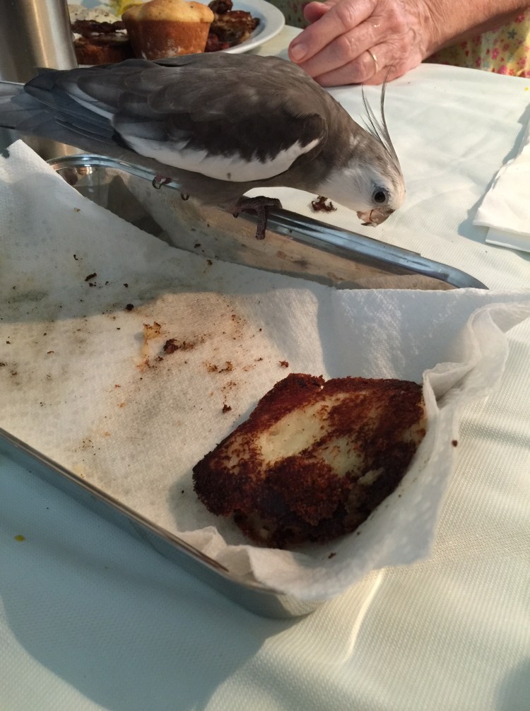 Happiness is....when you are chowing on your portion of the brunch french toast and all of a sudden you spy someone very pretty!