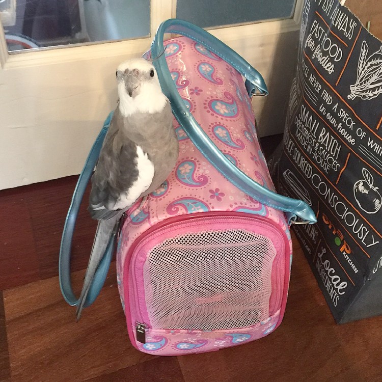 I can tell my mommy loves me the most, because she always lets me stay out a little longer than my small shelled sister.