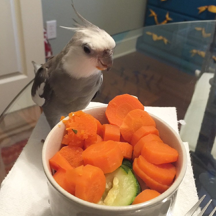 My mommy loves me so much - all I have to do is stare at a dish for her to realize it isn't to my liking and she rushes to get me something tastier.