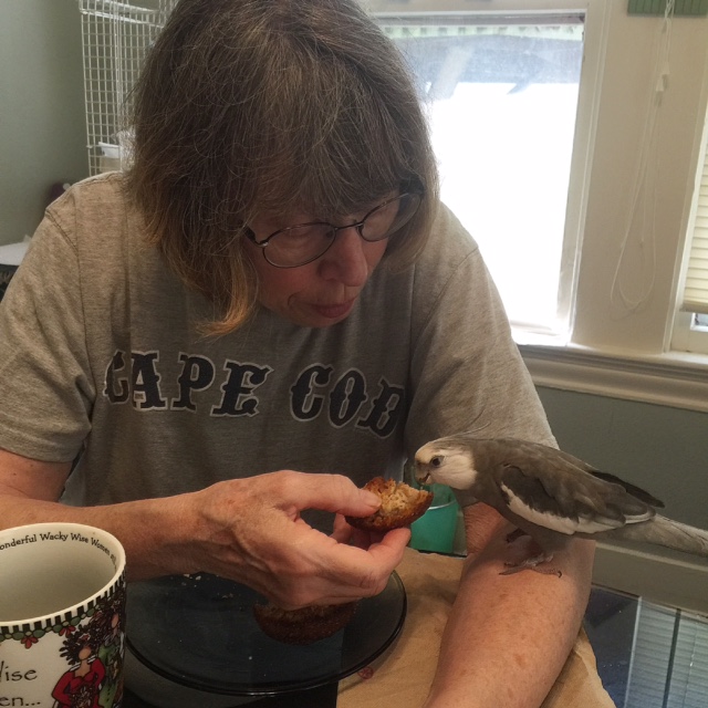 Happiness is....when Grandma brings delicacies enough for the whole flock - but only you get yours "handfed!"