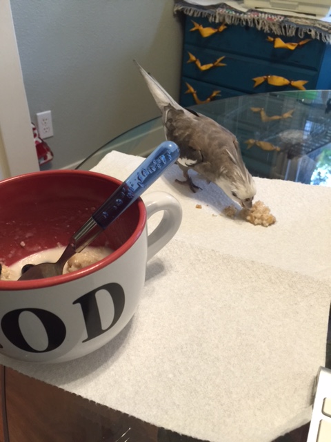 Happiness is...when your mommy makes breakfast for two and it is both tasty and very flingable!