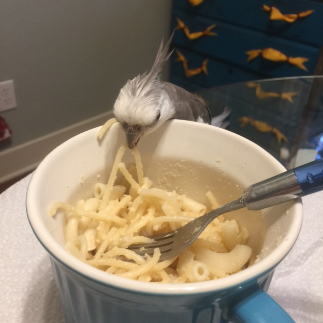 I always know how much my mommy loves me when she serves this dish - she gives me plenty of time to select the choicest morsels for myself.