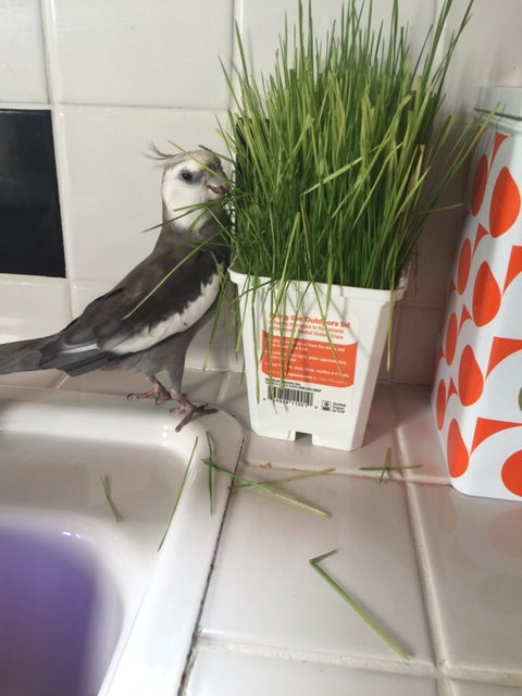 I know I have my mommy's full love and trust because whenever there is another client that needs a makeover, she always recommends me for the job!