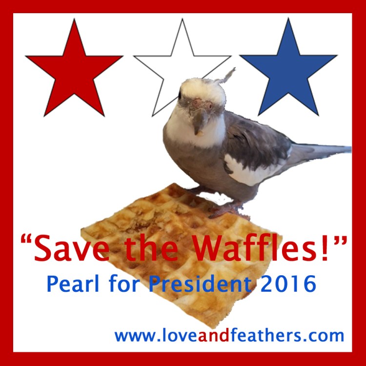 When you finally decide to throw your hat (er, crest) in the ring and your mommy celebrates like you've already won (because of course, to her, you have)!