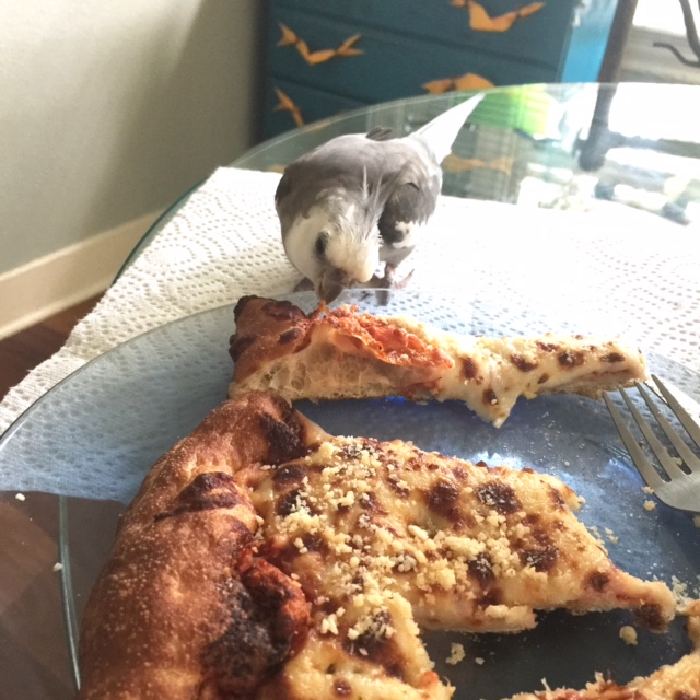 Happiness is....when you get your own personal slice of piping hot crispy pizza crust - all for you!