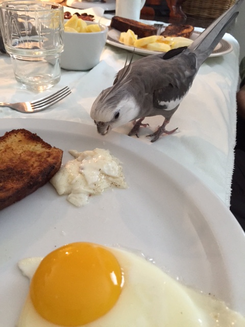 Happiness is....when your grandma makes extra of your favorite brunch delicacies and sets them aside so you know they are for you - and only you!