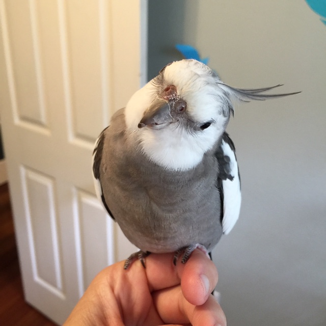 Boy does my mommy love me - no matter how cute I may look in one photo, she always thinks the next one is even cuter!