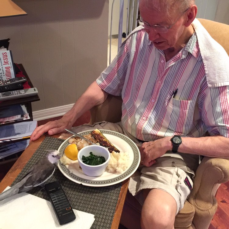 I know my Grandpa loves me so much - he always lets me have anything I want on his dinner plate (and never even wants to re-claim it after I'm done!)