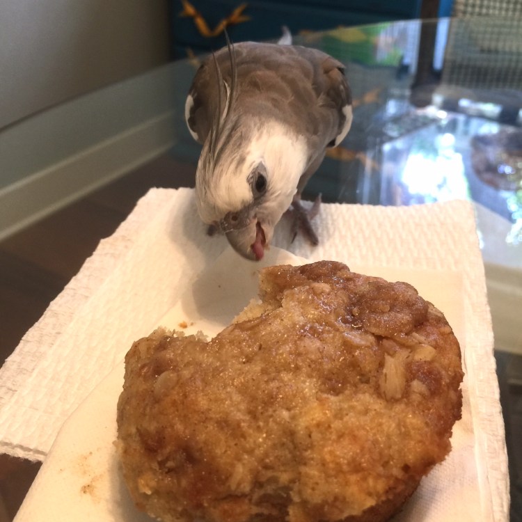 Happiness is....when your mommy gives you first dibs on Grandma's warm n' fresh crumble top muffins (and then takes lots of very cute pictures of you sampling them!)