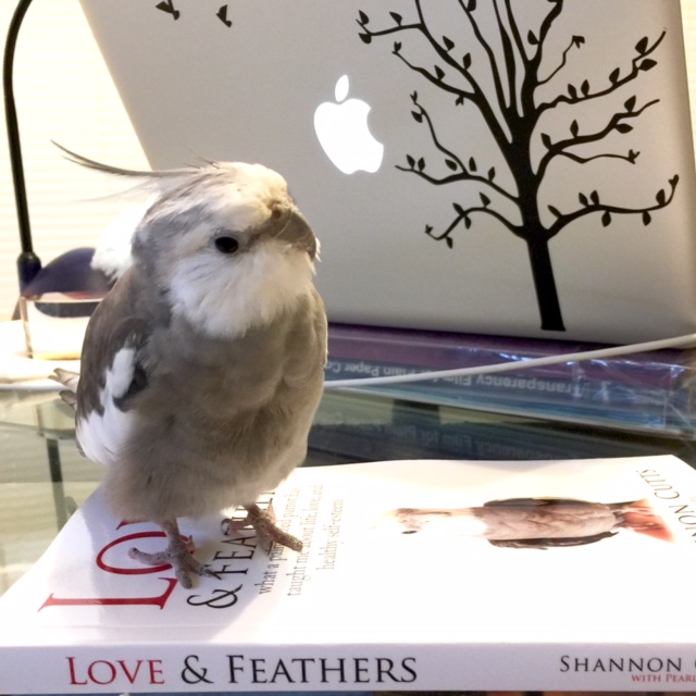 Happiness is...when your mommy loves you so much she writes a whole book all about YOU!