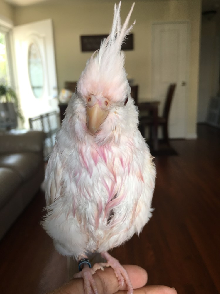 In this photo, notice how....