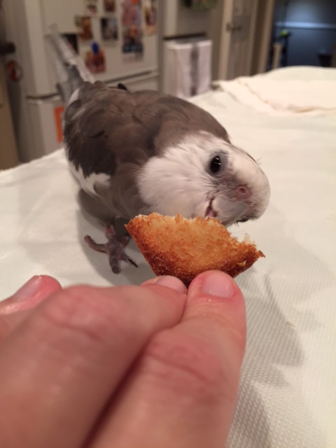 Pearl, demonstrating the best way to enjoy toast.