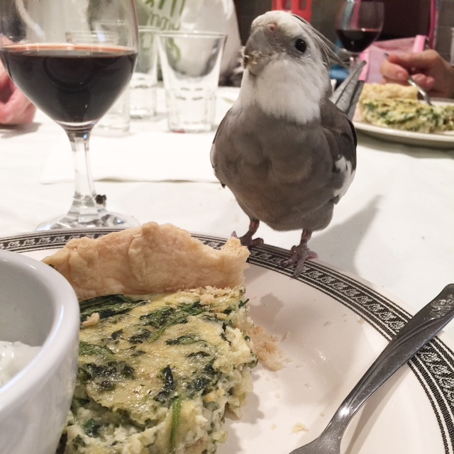 My mommy sure does love me - she knows I have a more sensitive palate so she always lets me try Grandma's newest delicacies before she does!