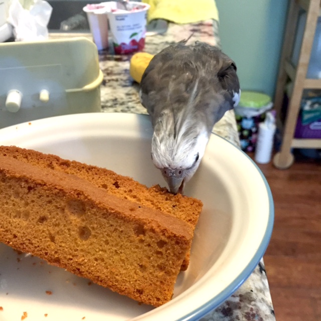 I can tell my mommy loves me the most because I am the only one who gets to eat her breakfast with her.