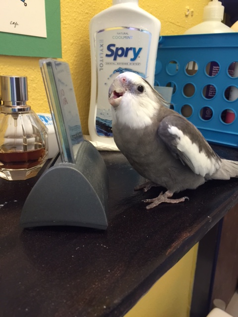 Pearl making yet another new friend.