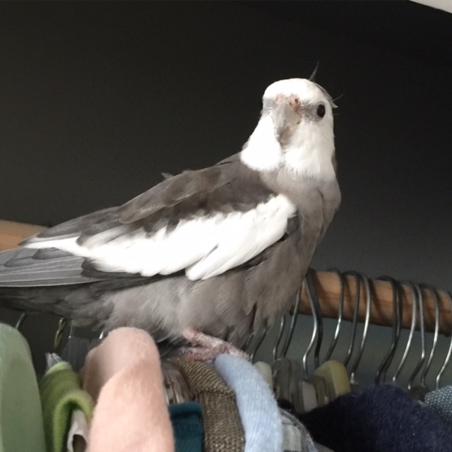 Happiness is when your mommy trusts you to pick out her outfits because she knows you will always pick the best ones!