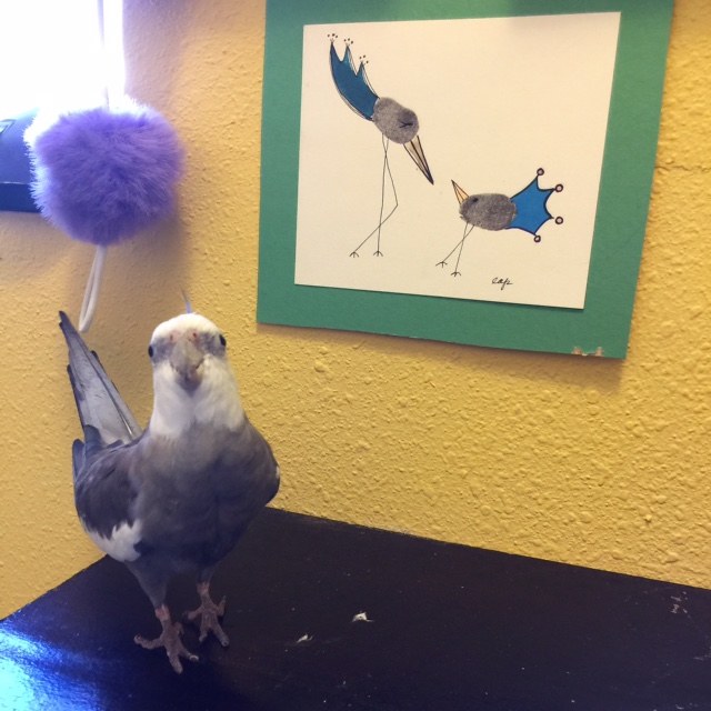 Happiness is...when you "beak-o-graph" one of your mommy's favorite pieces of art and she praises you for making it look even better!