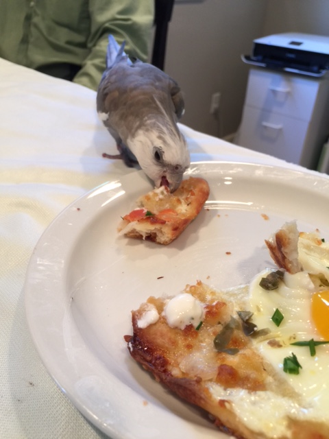 Well, now that the case is solved we can get down to it - it's not polite to keep the Small Chef waiting for our rating....