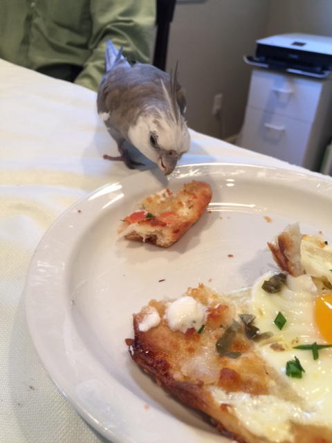 So I hear you were waiting next to the pizza stone when Grandma came into the kitchen just now. Turning yourself in? 