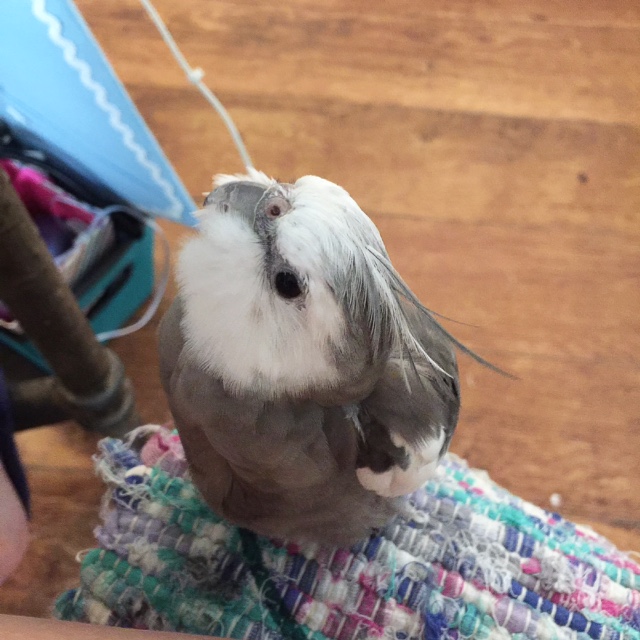 Next, be sure to capture a "profile" shot for your modeling portfolio.