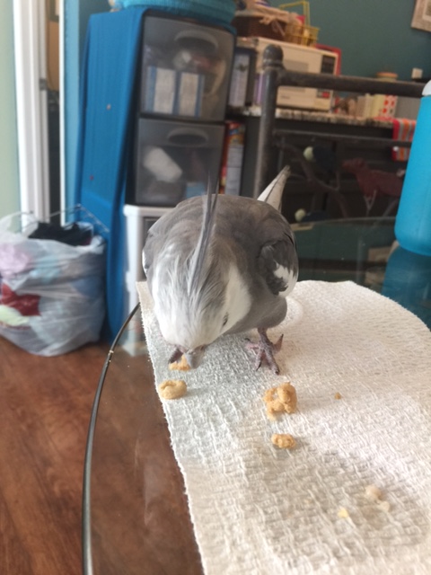 Aha. Well, you must be Suspect #1. I will just question you first.