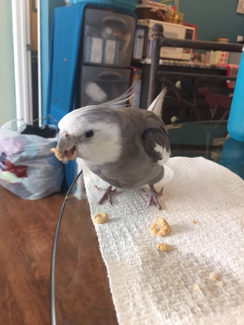 Well, that is mighty brave of you, refusing to cooperate. Suddenly I'm feeling much hungrier.