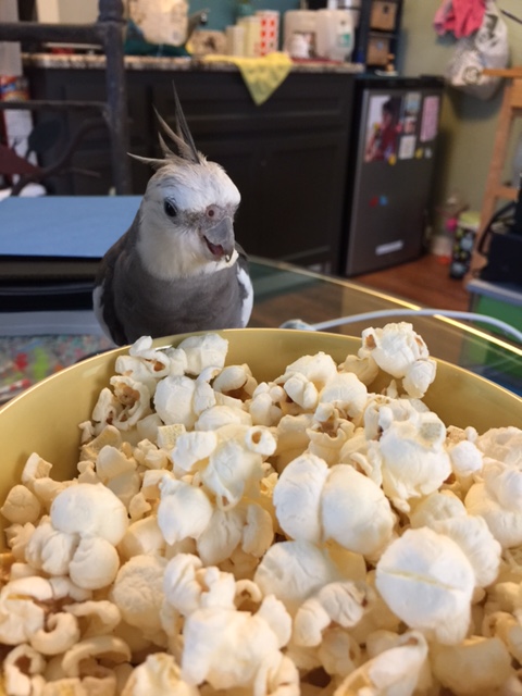 Well, hello there. What are you lot doing, loitering around here?